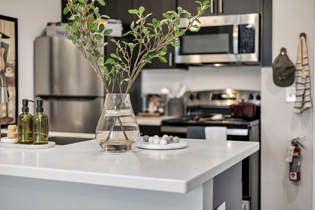 103-Stadium Row - Model - Kitchen (14)