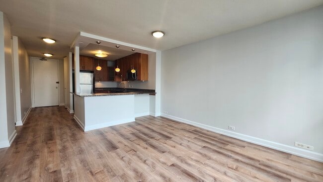 405 N WABASH Unit 1401