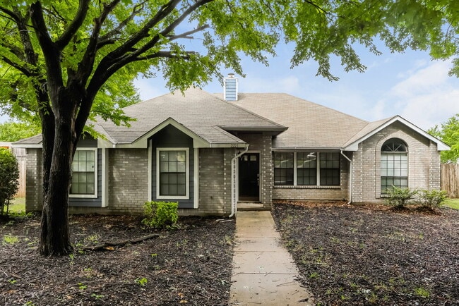 Building Photo - 2221 Collier Ct