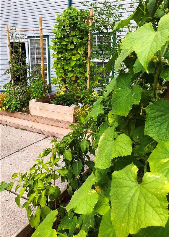 Wellington Woods Senior Apartments For Rent in Kentwood, MI