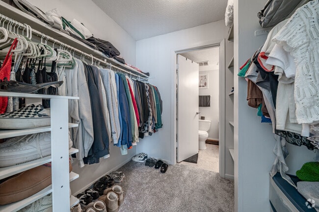 1BR, 1BA - 725SF - Closet