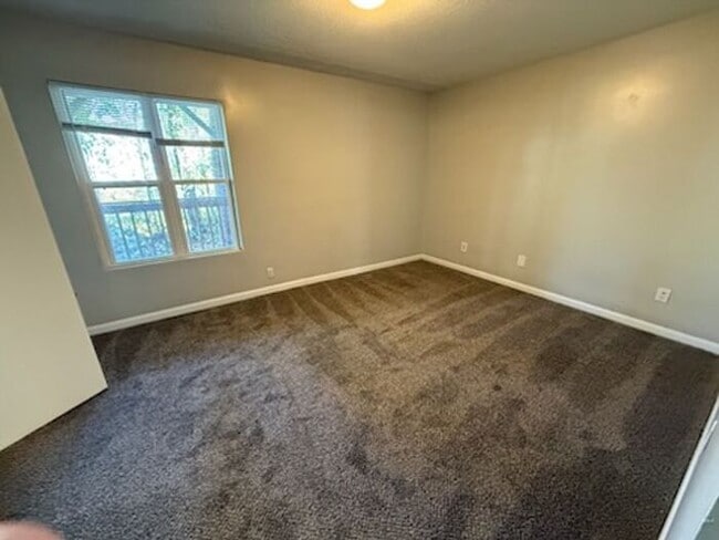 Photo - Move In Now & Save – Limited Availability at $1,399! Collegeview Apartments! Updated 2 Bed 2 Bath...