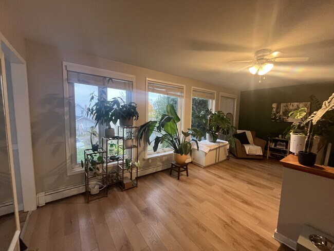 Photo - 21 Harris St