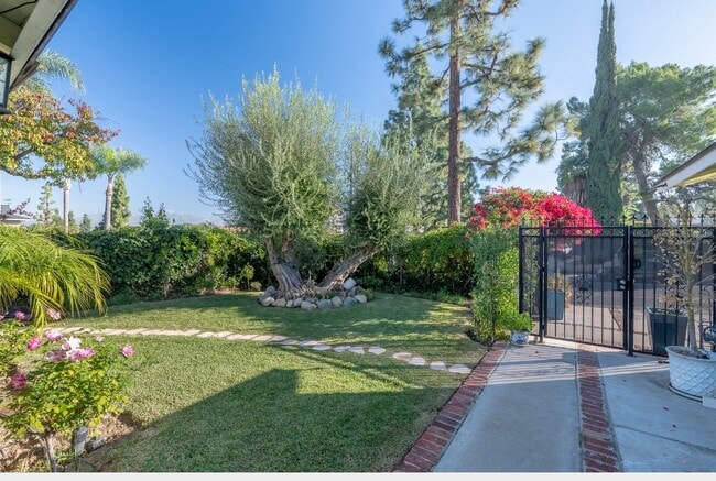 Photo - 1803 Ybarra Dr