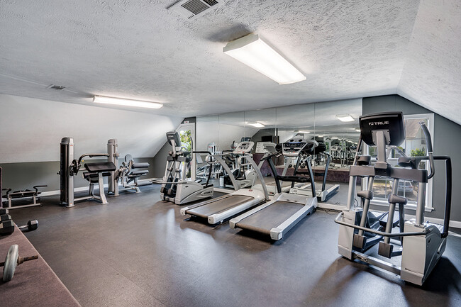 Photo - Savannah Creek