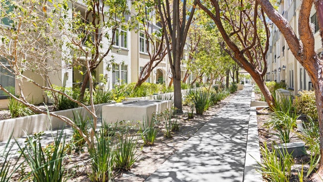 Park Place at San Mateo Apartments