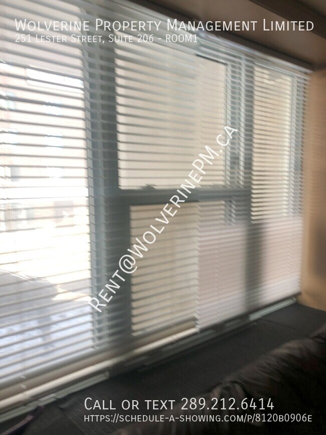 Photo - 251 Lester St