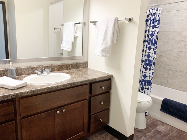 Ridge View Apartments Bathroom