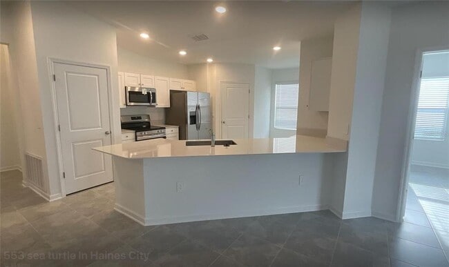 553 Sea Turtle Ln