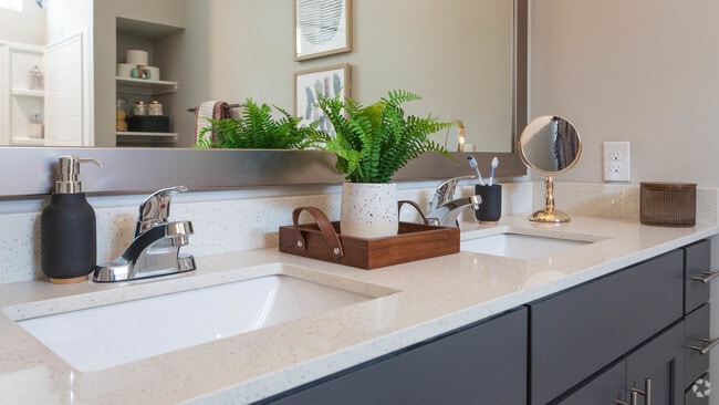 Palmetto - Primary Bathroom