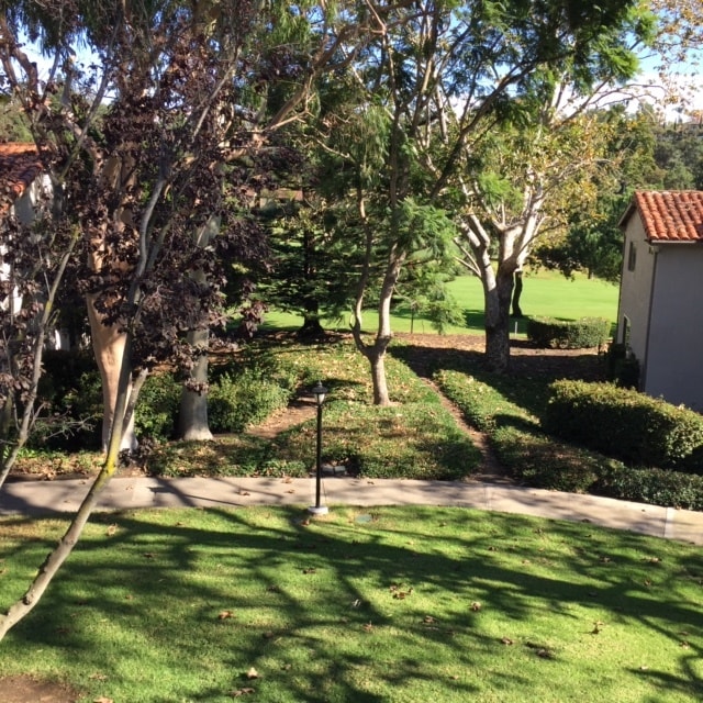 Photo - 31574 W Nine Dr Unidad Niguel Villas