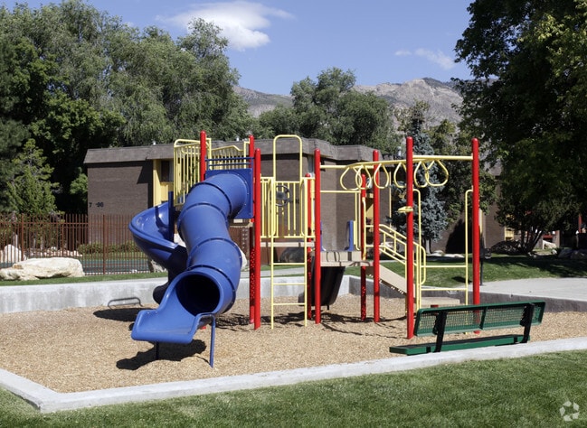 Photo - Country Woods