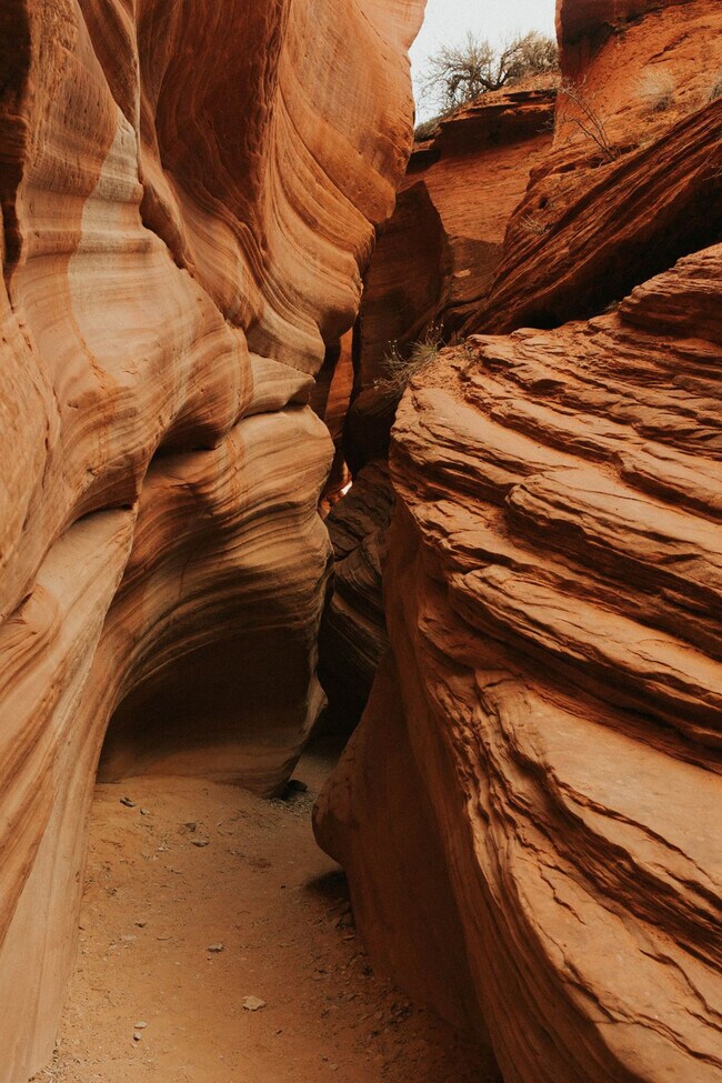 Photo - 523 W Vance Dr Unidad ID1249895P