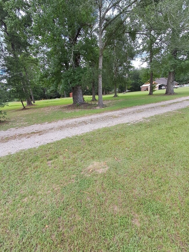 16190 US-59