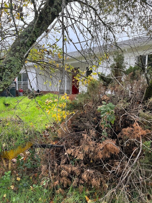 Photo - 39A Stark Ln