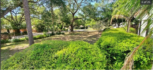 Photo - 1011 Pine Brook Dr