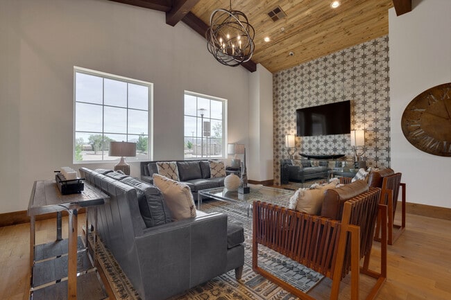 Photo - Olympus Rodeo