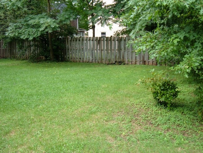 Fenced-in Backyard : CATS or SMALL DOGS PREFERRED - 17 Blake Ave Unit #1