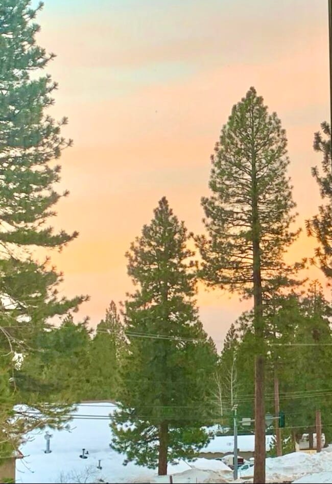 Photo - 872 Tanager St Unidad 872 Tanager