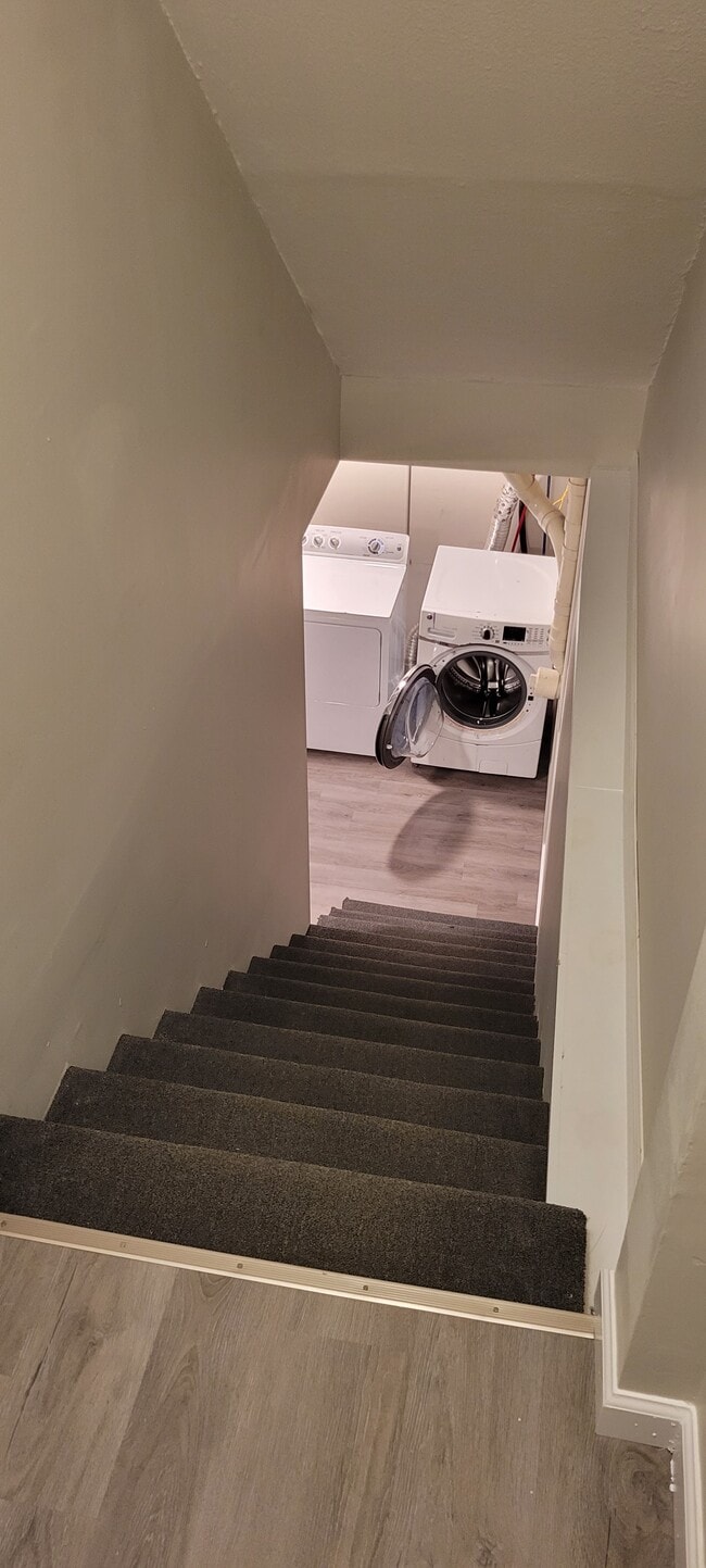 Escalera al sótano, sótano terminado - 1109 Chester St