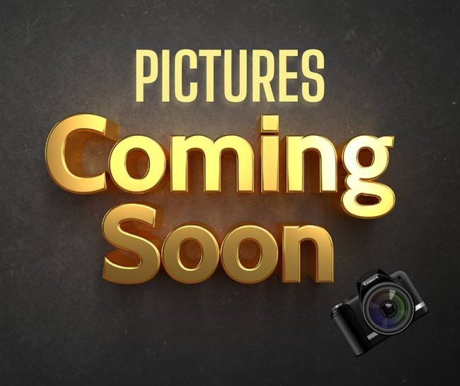 Building Photo - Enjoy the Holidays in Your Newly Renovated...