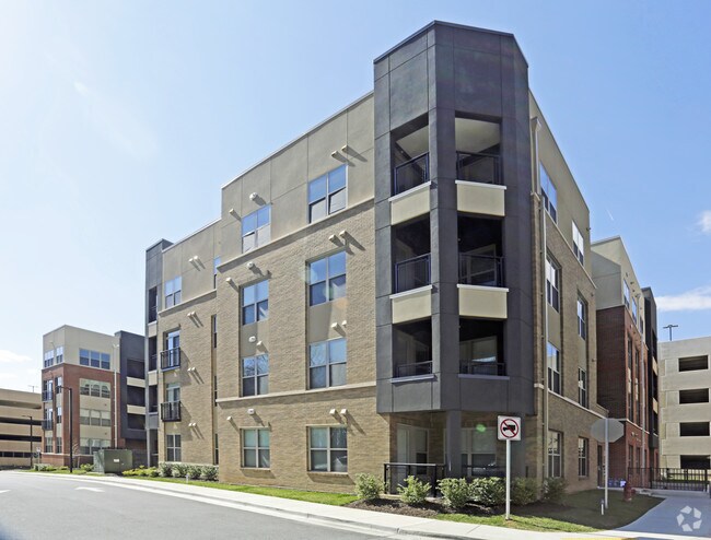 Camden Washingtonian
