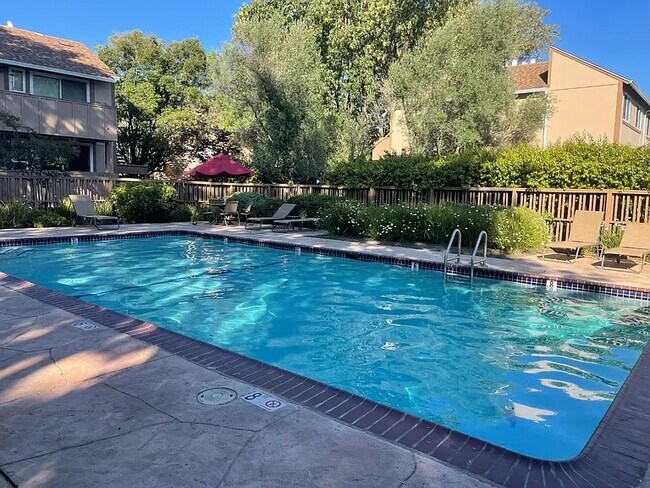 Enclosed pool area - 2450 W Bayshore Rd Unit 3