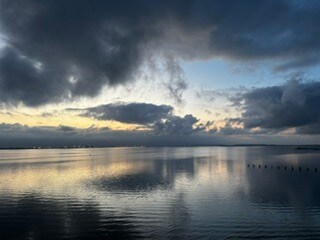 4950 Bayshore Blvd Unit 22