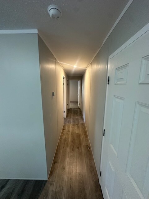 Photo - 7519 Dorr St