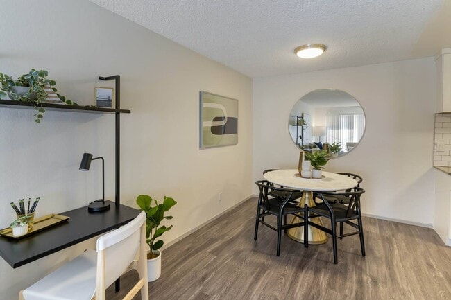 Photo - Delphine on Diamond