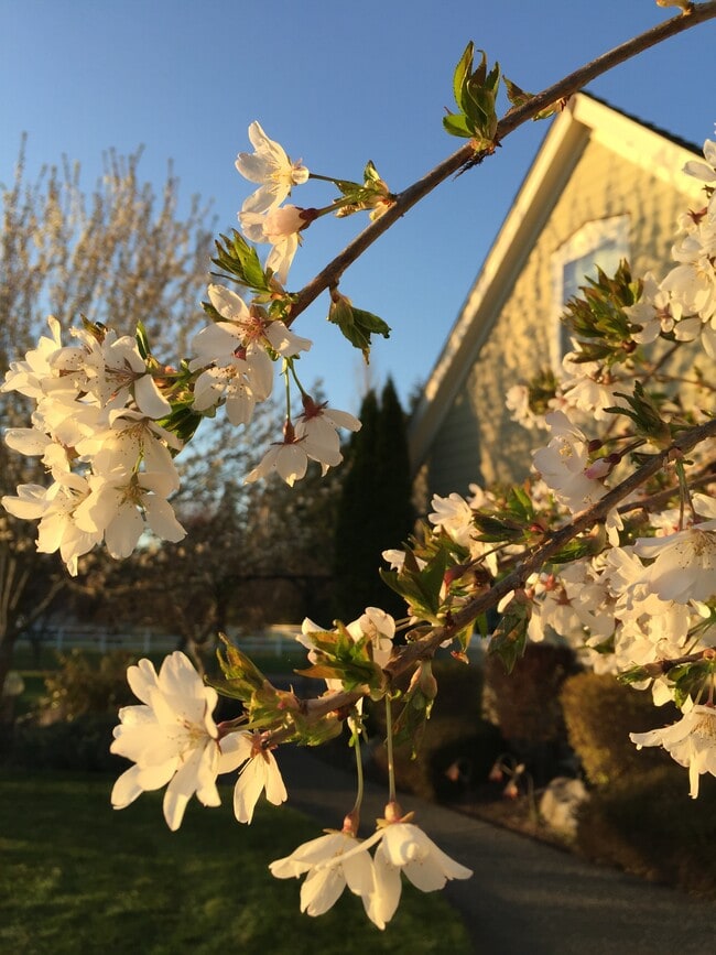 Photo - 6236 Cate Farm Ct SE Unit Studio B