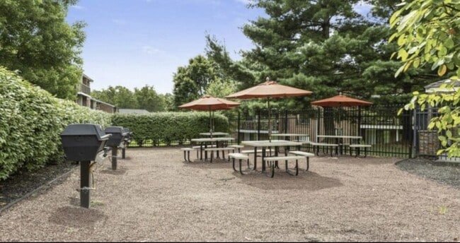 Photo - Tacony Crossing