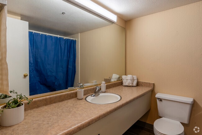 Studio, 1BA - 315 Sq Ft
