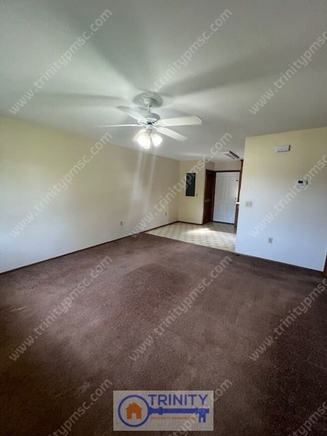 Photo - Cute and Available NOW!