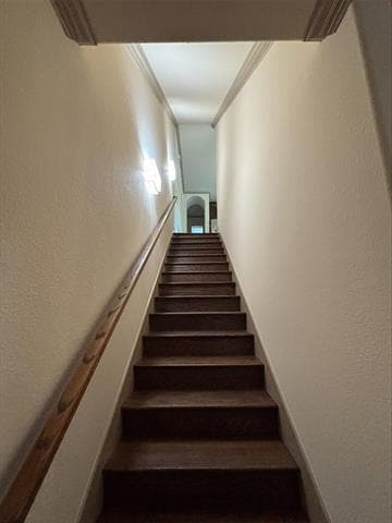 Photo - 3112 Pavonia Dr