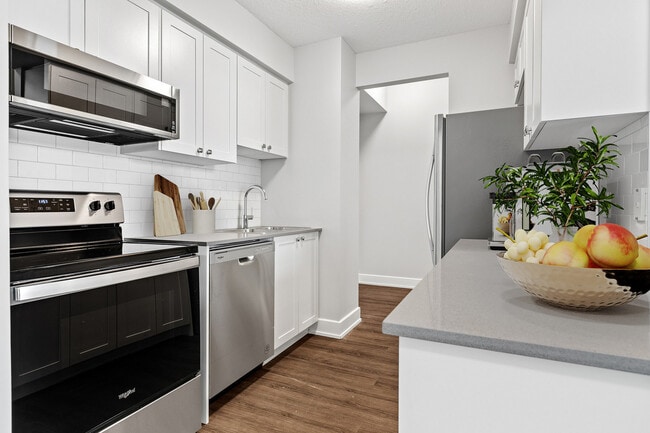 Photo - The Highlander