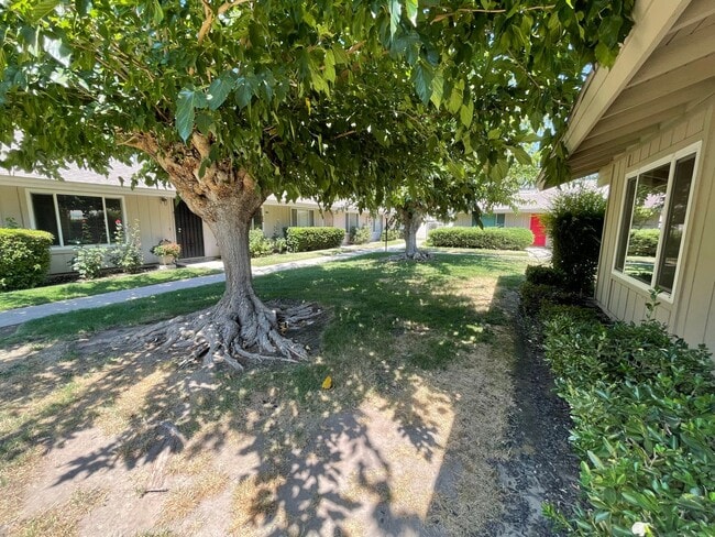 Photo - 3 bedroom single story condo!