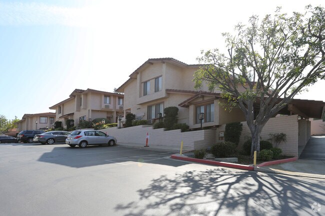 Rachel Terrace - Rachel Terrace Apartments