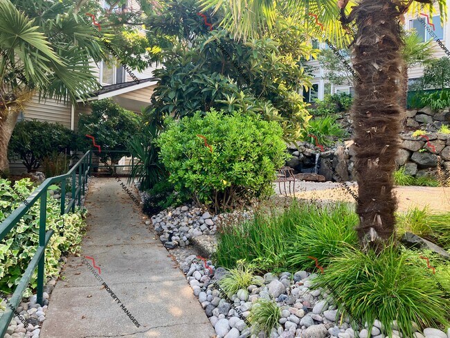 Photo - Oasis Apartments