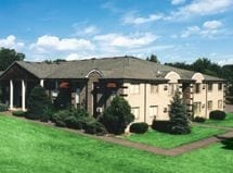 Hill View - Bloomfield Orchard