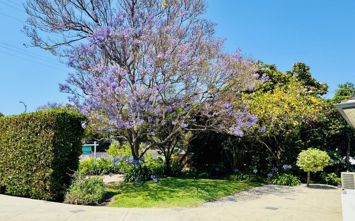 Photo - 2376 Dewey St