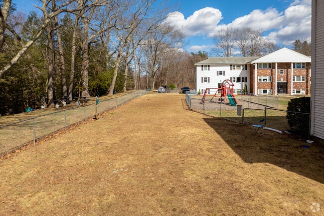 Dog Park