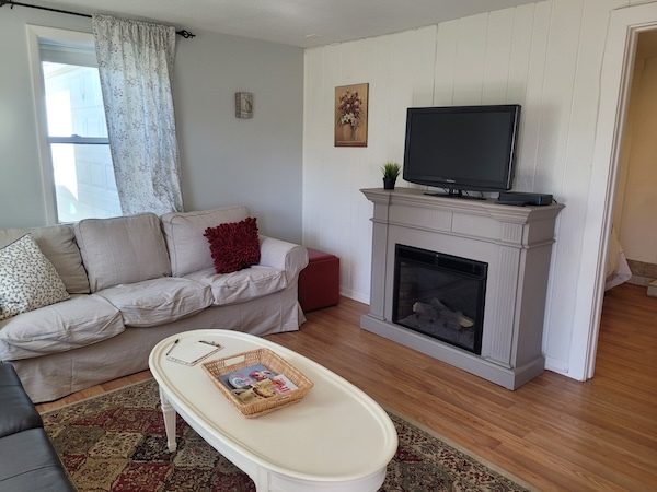 comfortable living room with fireplace - 219 Lewis St Apartment Unit One Half