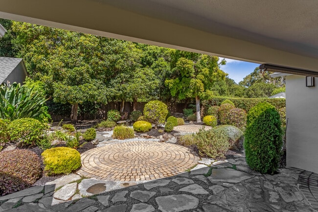 Back patio - 940 Sequoia Ave