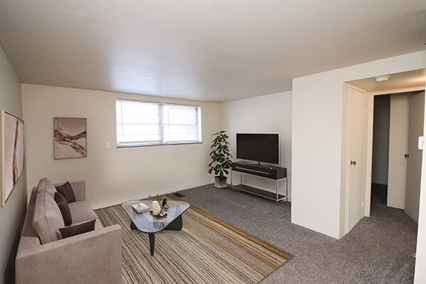 Spacious Living Room