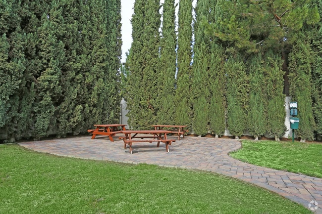 Courtyard and Pet Friendly Area - Lincoln Park Apartments