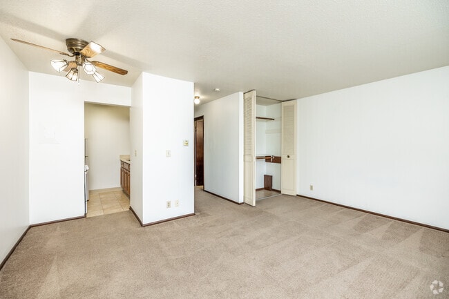 Studio - 420 SF