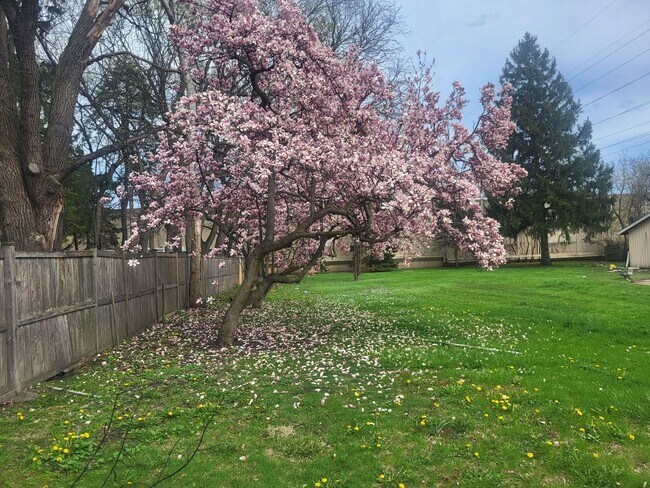 Photo - 225 E River Rd