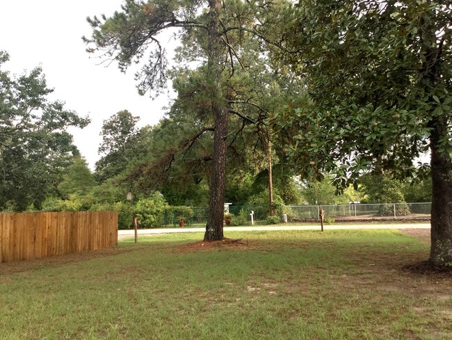 View out to front yard - 25745 Dulaney St