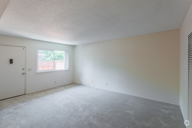 Photo - Cherry Blossom